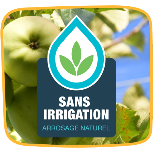 sans irrigation