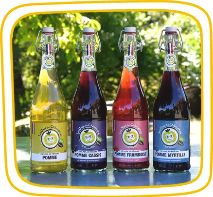 Purs jus de fruits pétillants