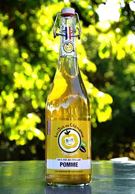 purs jus de fruits pomme bio